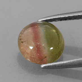 Turmalina multicolor natural de 1,86 ct, transparente, transparente / translúcido