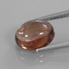 Turmalina marrón natural de 3,30 ct, transparente, transparente / translúcido