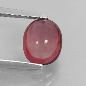 Turmalina rosa natural de 1,48 ct, transparente, transparente / translúcido