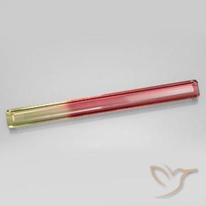 Turmalina Bicolor natural de 17.35 ct, Corte Octágono / Esmeralda, VVS