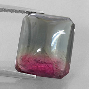 Turmalina bicolor natural de 12,38 ct, transparente, transparente / translúcido