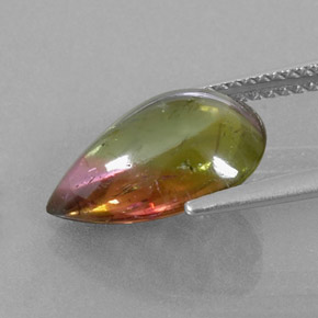 Turmalina multicolor natural de 4,43 ct, transparente, transparente / translúcido