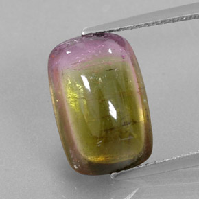 Turmalina bicolor natural de 6,64 ct, transparente, transparente / translúcido