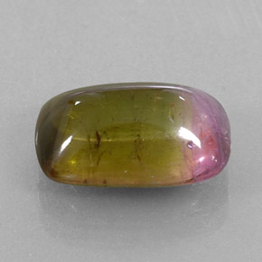 Turmalina bicolor natural de 6,64 ct, transparente, transparente / translúcido