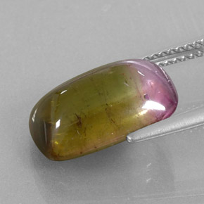 Turmalina bicolor natural de 6,64 ct, transparente, transparente / translúcido