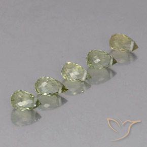 Gemas de Turmalina Verde bosque claro natural de 1.73 ct, Corte Briolette, VS