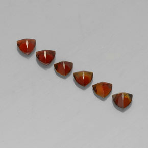 Gemas de turmalina multicolor natural de 1,48 ct, trillón, VVS-VS