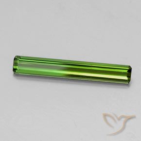 Turmalina Verde oscuro natural de 1.44 ct, Corte Octágono / Esmeralda, VS