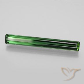 Turmalina Verde bosque frío natural de 3.19 ct, Corte Octágono / Esmeralda, VVS
