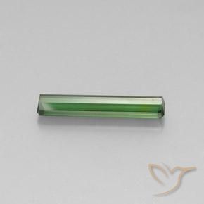 Turmalina Verde natural de 3.08 ct, Corte Octágono / Esmeralda, VVS-VS