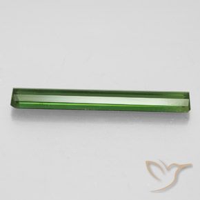 Turmalina Verde bosque natural de 2.53 ct, Corte Octágono / Esmeralda, VS