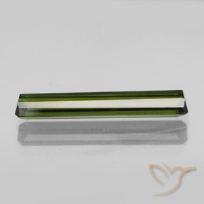 Turmalina Verde bosque natural de 2.36 ct, Corte Octágono / Esmeralda, VVS-VS