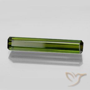 Turmalina Verde bosque natural de 2.70 ct, Corte Octágono / Esmeralda, VVS-VS