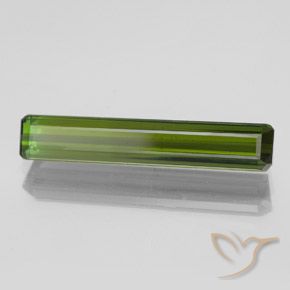 Turmalina Verde alga natural de 2.01 ct, Corte Octágono / Esmeralda, VVS-VS