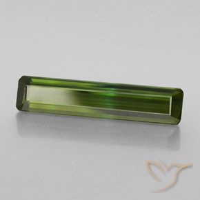 Turmalina Medium Light Green natural de 2.57 ct, Corte Octágono / Esmeralda, VVS-VS