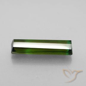 Turmalina Verde bosque natural de 2.92 ct, Corte Octágono / Esmeralda, VS-SI