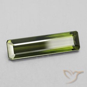 Turmalina Verde bosque natural de 2.20 ct, Corte Octágono / Esmeralda, VS