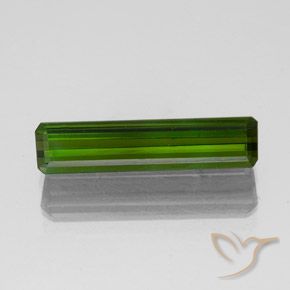 1.47ct Natural Verde bosque Turmalina, corte esmeralda, VVS-VS