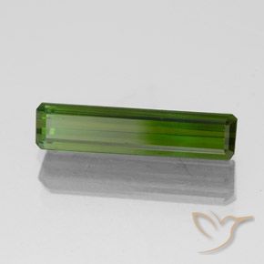 Turmalina Verde bosque natural de 1.47 ct, Corte Octágono / Esmeralda, VVS-VS
