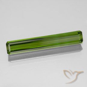 Turmalina Verde oscuro natural de 1.51 ct, Corte Octágono / Esmeralda, VVS-VS