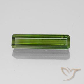 1.45ct Natural Verde bosque Turmalina, corte esmeralda, SI