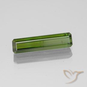 Turmalina Verde bosque natural de 1.45 ct, Corte Octágono / Esmeralda, SI