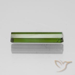 Turmalina Verde bosque natural de 1.45 ct, Corte Octágono / Esmeralda, SI