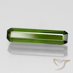 Turmalina Verde oscuro natural de 1.45 ct, Corte Octágono / Esmeralda, VVS-VS