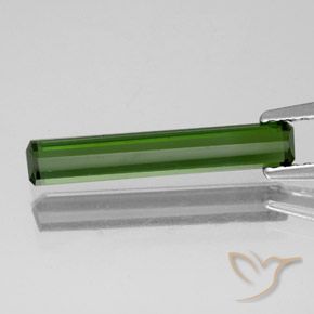 Turmalina Verde oscuro natural de 1.37 ct, Corte Octágono / Esmeralda, VVS-VS