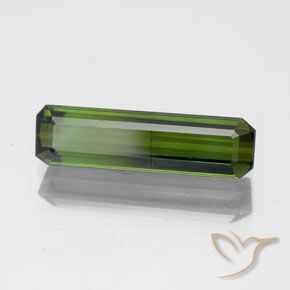 Turmalina Verde oscuro natural de 1.71 ct, Corte Octágono / Esmeralda, SI