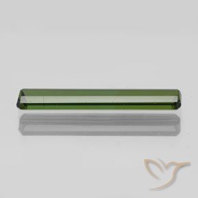 Turmalina Verde bosque natural de 1.47 ct, Corte Octágono / Esmeralda, SI