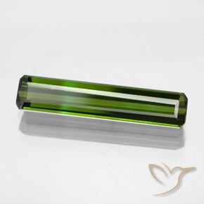 Turmalina Verde bosque natural de 1.96 ct, Corte Octágono / Esmeralda, VS
