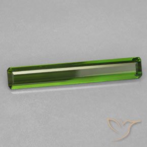 Turmalina Verde bosque natural de 1.69 ct, Corte Octágono / Esmeralda, VVS-VS