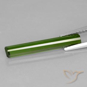 Turmalina Verde bosque natural de 1.69 ct, Corte Octágono / Esmeralda, VVS-VS