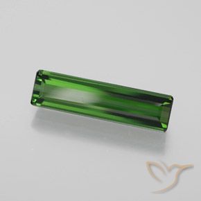 Turmalina Verde bosque natural de 1.60 ct, Corte Octágono / Esmeralda, VVS