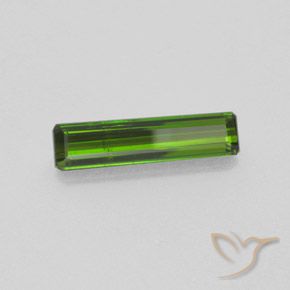 Turmalina Verde bosque natural de 1.40 ct, Corte Octágono / Esmeralda, SI