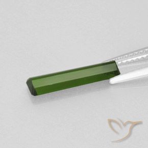 Turmalina Verde bosque natural de 1.40 ct, Corte Octágono / Esmeralda, SI