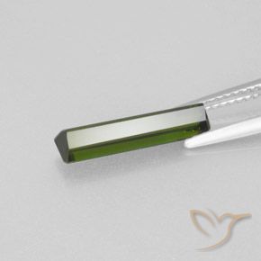 Turmalina Verde bosque natural de 1.72 ct, Corte Octágono / Esmeralda, VVS