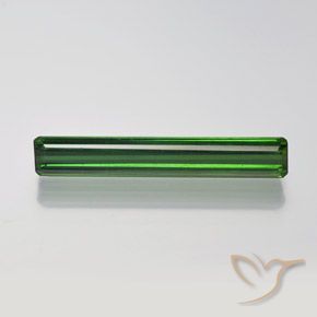 1.54ct Natural Verde bosque Turmalina, corte esmeralda, VVS-VS