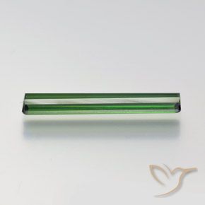 Turmalina Verde bosque natural de 1.54 ct, Corte Octágono / Esmeralda, VVS-VS