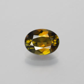 Turmalina Marrón dorado natural de 1.26 ct, Corte Óvalo, VVS
