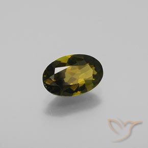 Turmalina Marrón verdoso dorado natural de 1.27 ct, Ovalada, VVS