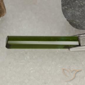 Turmalina Verde bosque natural de 2.01 ct, Corte Octágono / Esmeralda, VVS-VS
