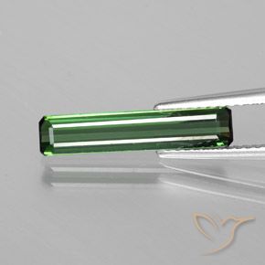 1.50ct Natural Verde bosque frío Turmalina, corte esmeralda, VS