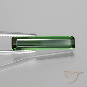 Turmalina Verde bosque frío natural de 1.50 ct, Corte Octágono / Esmeralda, VS