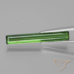 1.53ct Natural Verde bosque Turmalina, corte esmeralda, VS