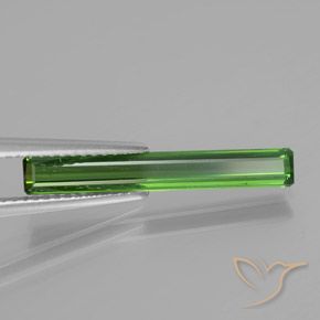 Turmalina Verde bosque natural de 1.53 ct, Corte Octágono / Esmeralda, VS