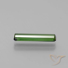 Turmalina Verde bosque natural de 1.18 ct, Corte Octágono / Esmeralda, VVS-VS