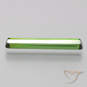 Turmalina Verde bosque natural de 1.33 ct, Corte Octágono / Esmeralda, VVS-VS