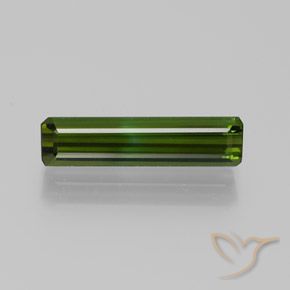 1.51ct Natural Verde terroso Turmalina, corte esmeralda, VVS